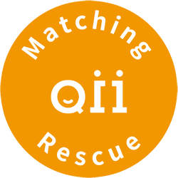 Matching Q11 Rescue